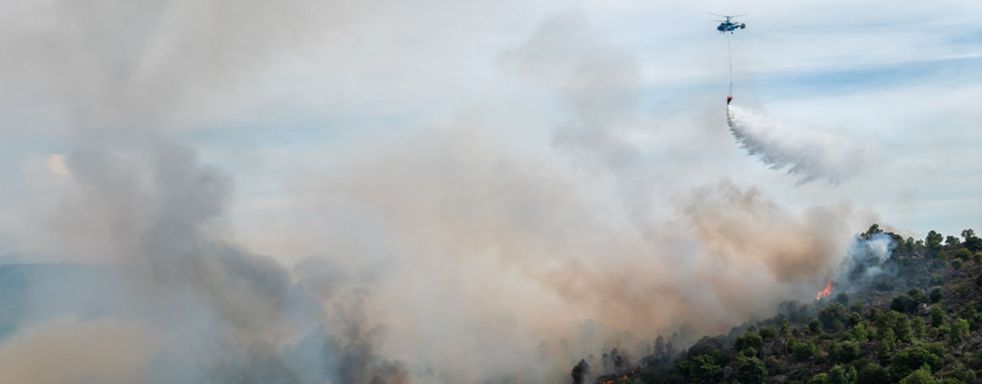 grid_incendios